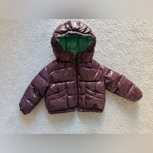Moncler Purple Puffer Down Jacket